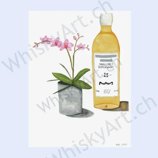 Whisky bottle with flower on a plain white background